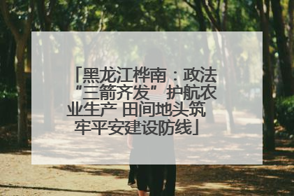 黑龙江桦南：政法“三箭齐发”护航农业生产 田间地头筑牢平安建设防线