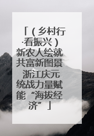 （乡村行·看振兴）新农人绘就共富新图景 浙江庆元统战力量赋能“海拔经济”