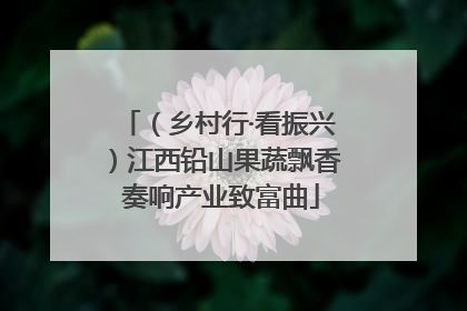 （乡村行·看振兴）江西铅山果蔬飘香 奏响产业致富曲