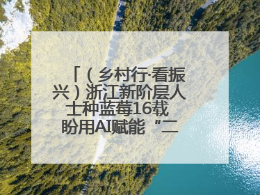 （乡村行·看振兴）浙江新阶层人士种蓝莓16载 盼用AI赋能“二次创业”