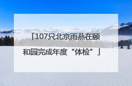 107只北京雨燕在颐和园完成年度“体检”