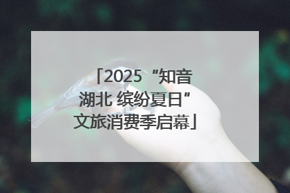 2025“知音湖北 缤纷夏日”文旅消费季启幕