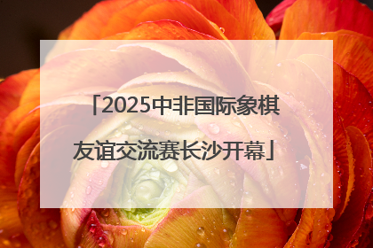 2025中非国际象棋友谊交流赛长沙开幕
