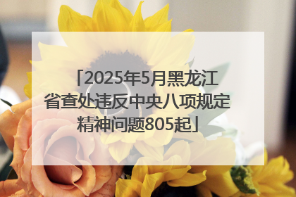 2025年5月黑龙江省查处违反中央八项规定精神问题805起