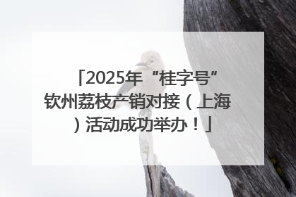 2025年“桂字号”钦州荔枝产销对接（上海）活动成功举办！