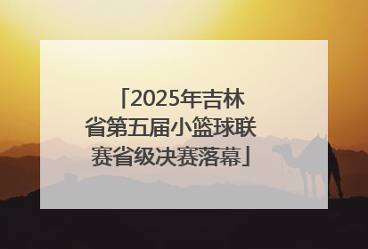 2025年吉林省第五届小篮球联赛省级决赛落幕