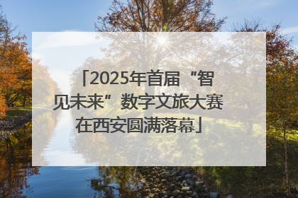 2025年首届“智见未来”数字文旅大赛在西安圆满落幕