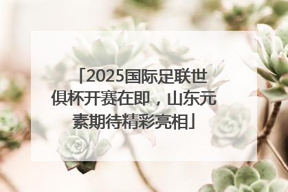 2025国际足联世俱杯开赛在即，山东元素期待精彩亮相