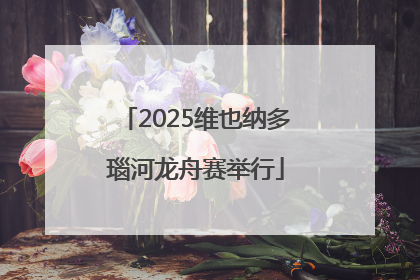 2025维也纳多瑙河龙舟赛举行