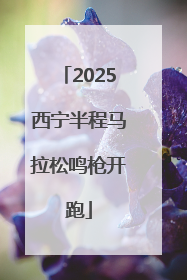 2025西宁半程马拉松鸣枪开跑