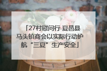 27村慰问行 夏邑县马头镇商会以实际行动护航“三夏”生产安全