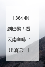 36小时到巴黎！看云南咖啡“出滇记”
