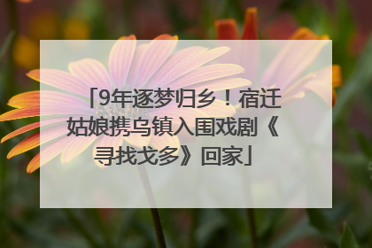 9年逐梦归乡！宿迁姑娘携乌镇入围戏剧《寻找戈多》回家
