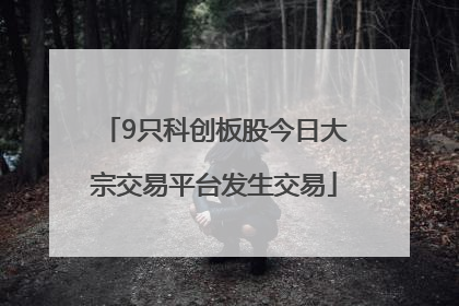 9只科创板股今日大宗交易平台发生交易