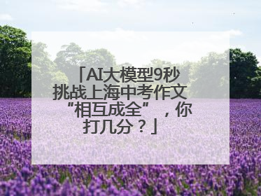 AI大模型9秒挑战上海中考作文“相互成全”，你打几分？