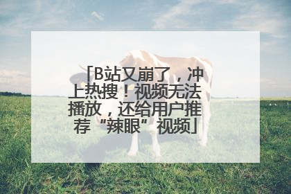 B站又崩了，冲上热搜！视频无法播放，还给用户推荐“辣眼”视频