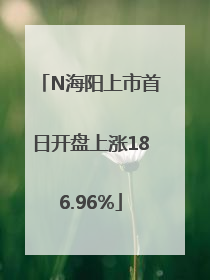 N海阳上市首日开盘上涨186.96%
